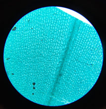 Load image into Gallery viewer, Advanced Student Microscope