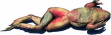 Load image into Gallery viewer, Grass Frog Specimen (4"-5", double-injected)