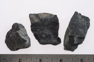 Argillite